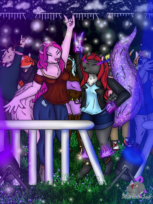 Rock and Roll Concert